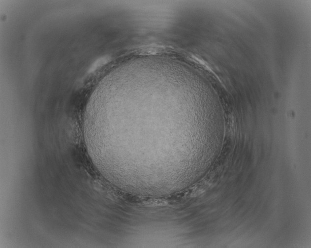 X0000076091446200610061629