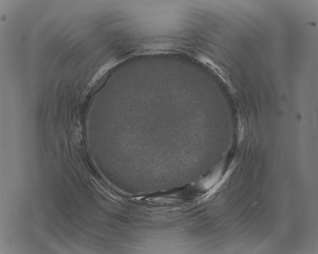 X0000076091449200610061629