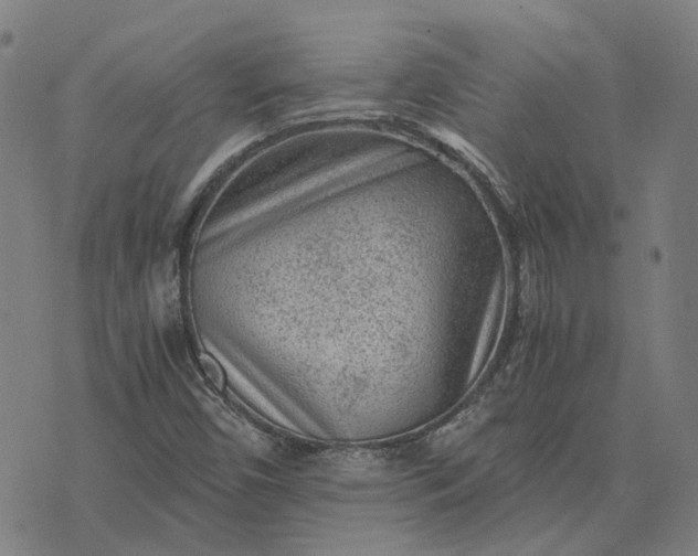 X0000076091450200610061629