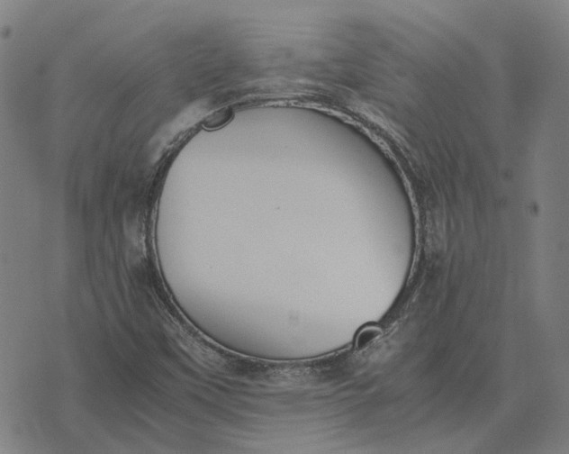 X0000076091451200610061629