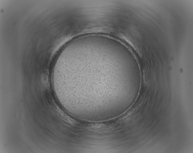 X0000076091452200610061629