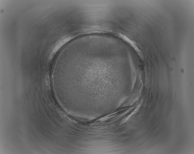 X0000076091453200610061629