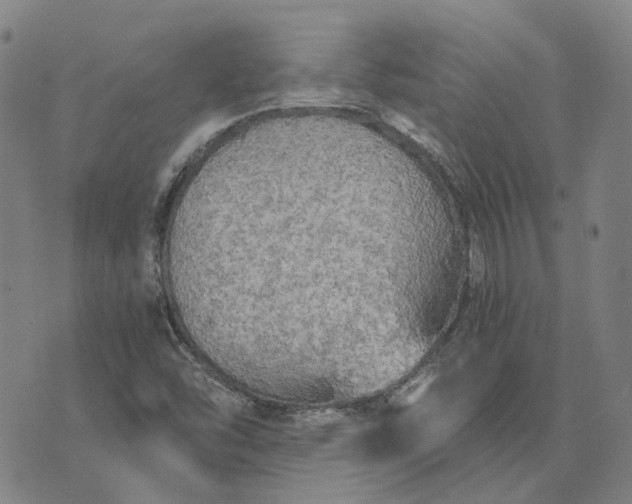 X0000076091454200610061629