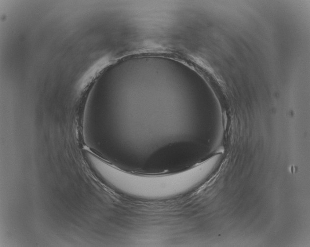 X0000076091455200610061629