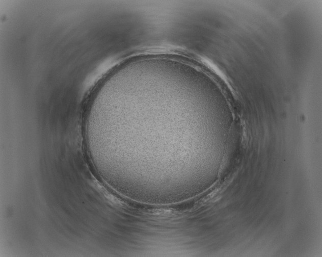 X0000076091456200610061629