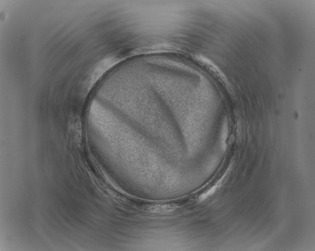 X0000076091457200610061629