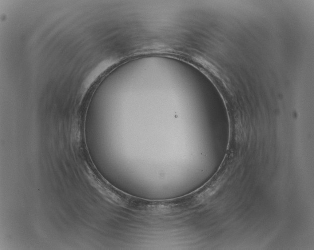 X0000076091458200610061629