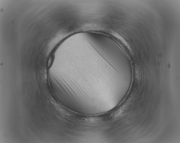 X0000076091461200610061629