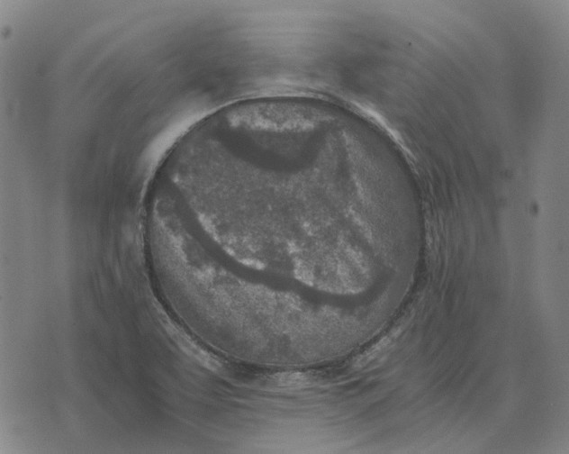 X0000076091463200610061629