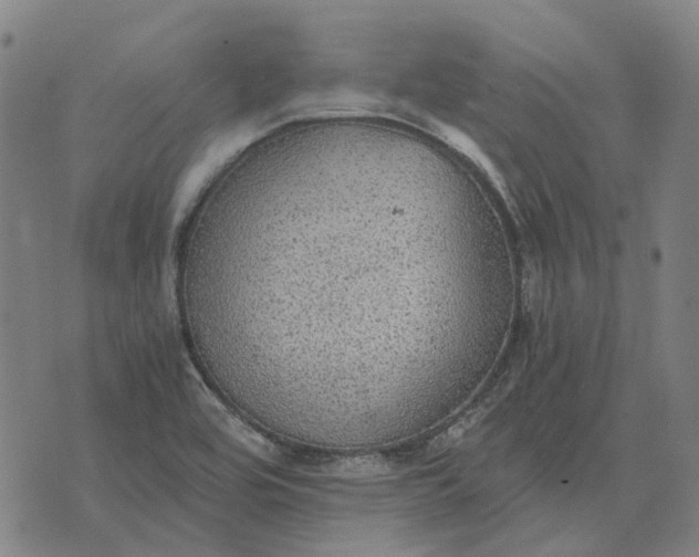 X0000076091464200610061629