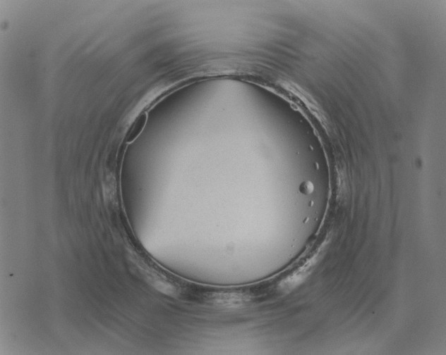 X0000076091465200610061629