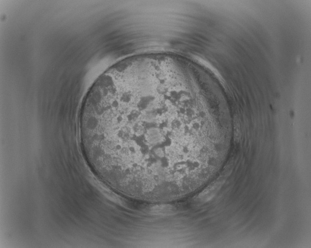 X0000076091467200610061629