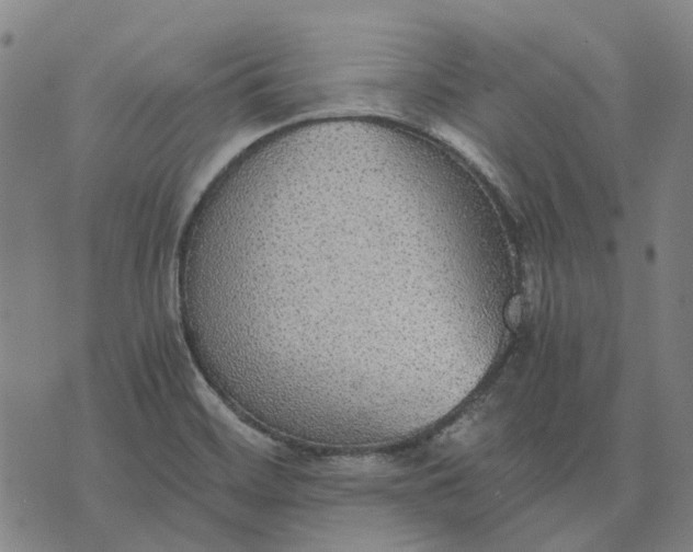 X0000076091468200610061629