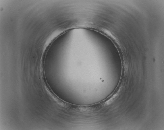 X0000076091469200610061629