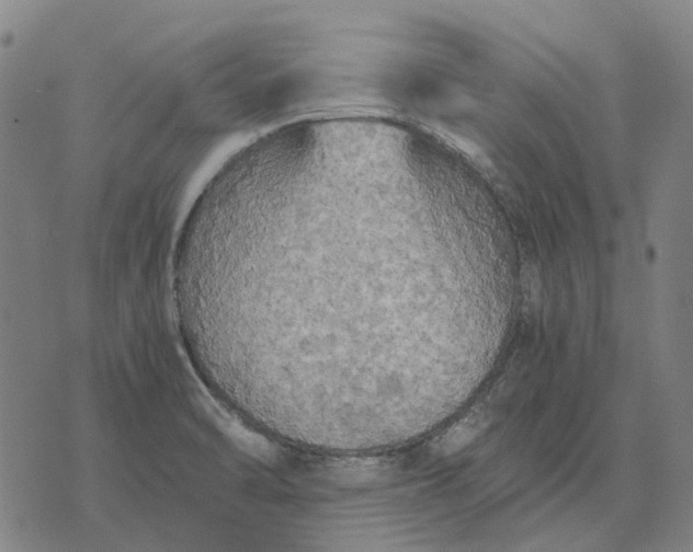 X0000076091470200610061629