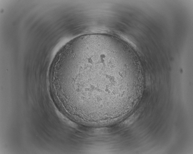 X0000076091471200610061629