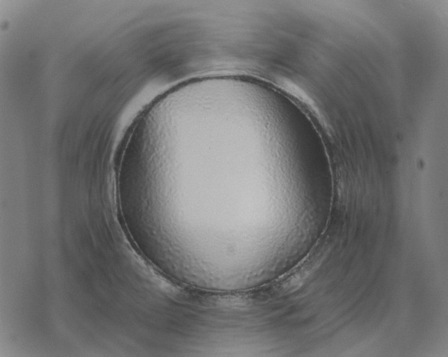 X0000076091472200610061629