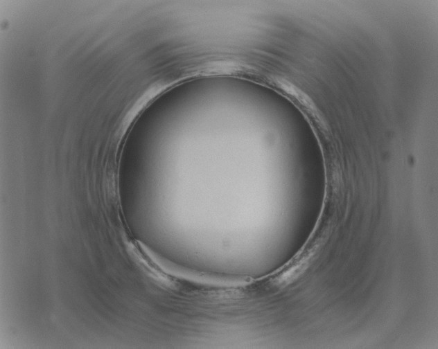 X0000076091473200610061629