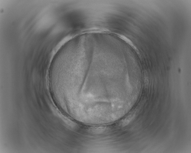 X0000076091474200610061629