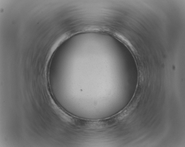 X0000076091475200610061629