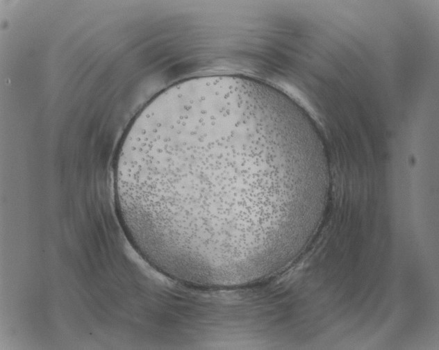 X0000076091476200610061629