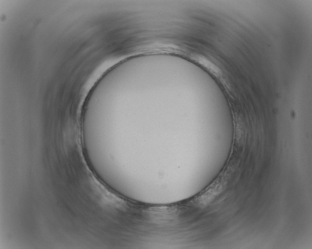 X0000076091478200610061629