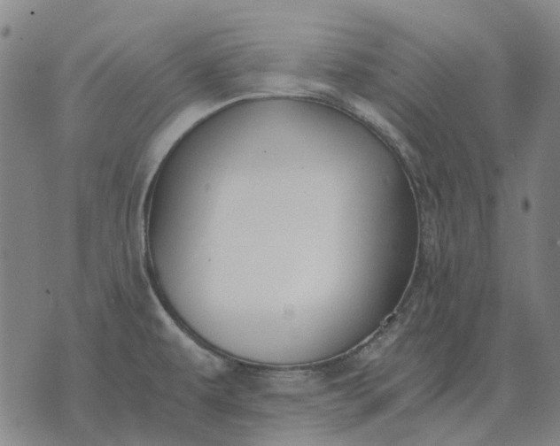 X0000076091479200610061629