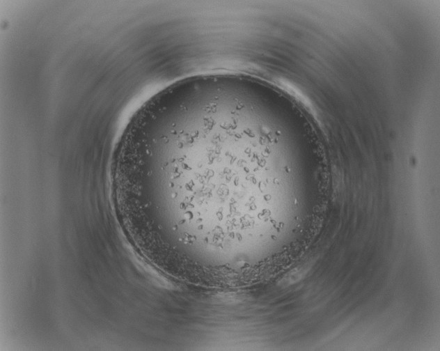 X0000076091480200610061629