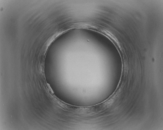 X0000076091481200610061629