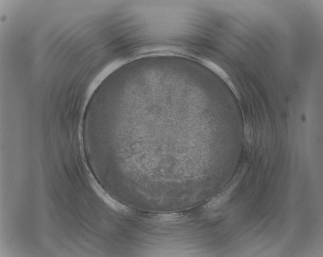 X0000076091482200610061629