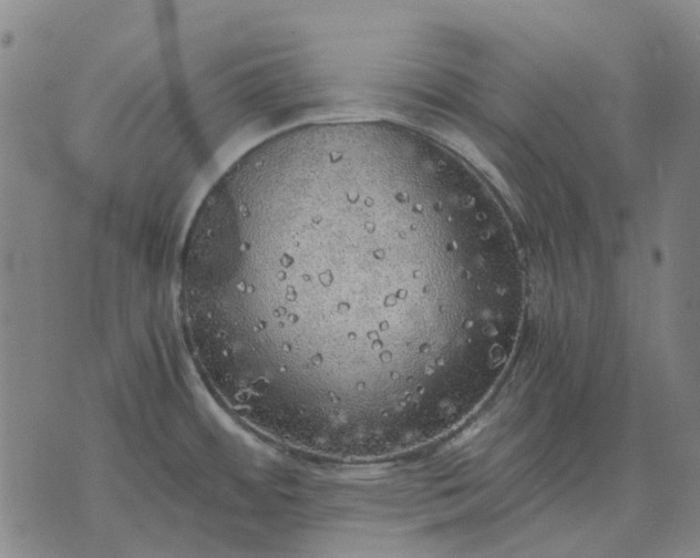 X0000076091484200610061628