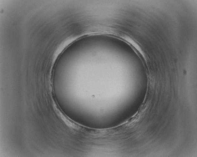 X0000076091485200610061628