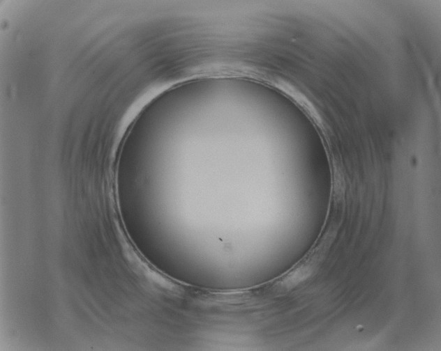 X0000076091486200610061628