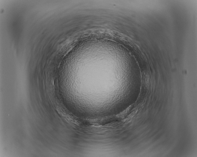 X0000076091489200610061628