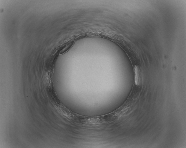 X0000076091491200610061628