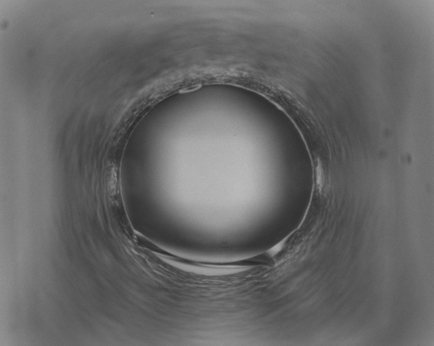 X0000076091492200610061628