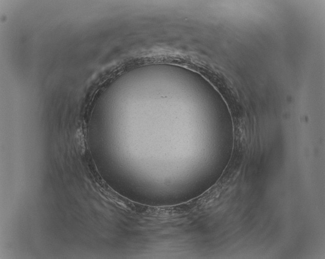 X0000076091493200610061628