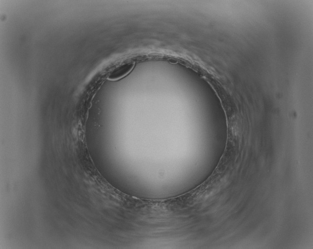 X0000076091495200610061628