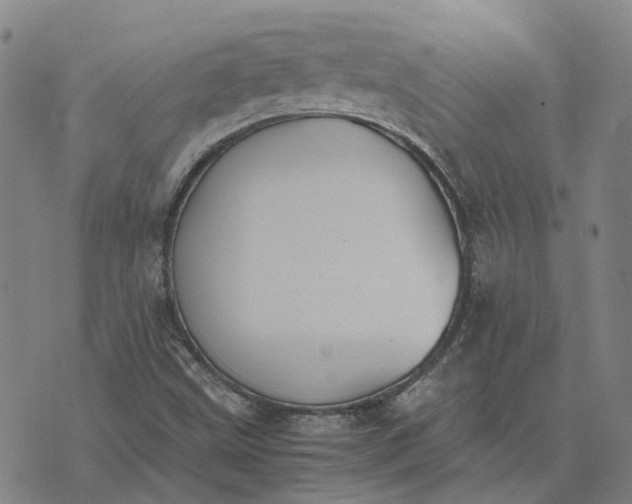 X0000076091499200610061628