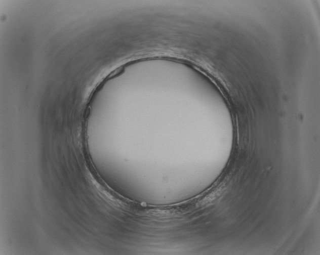 X0000076091500200610061628