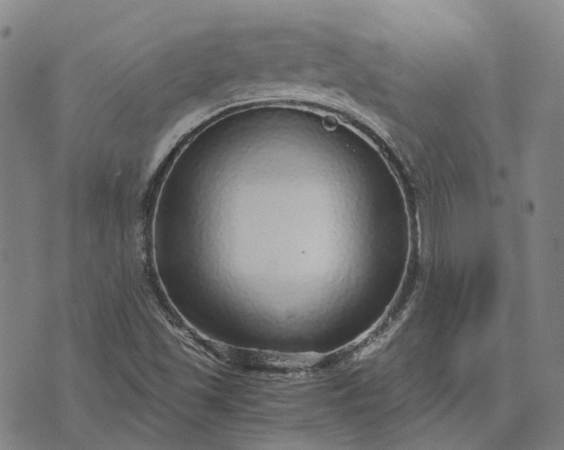 X0000076091501200610061628