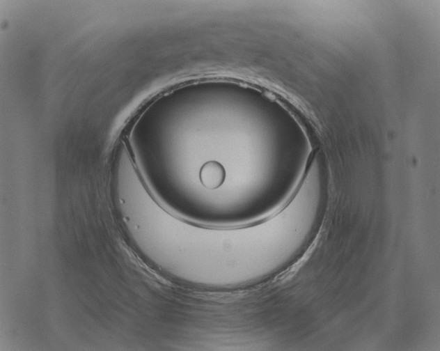 X0000076091502200610061628