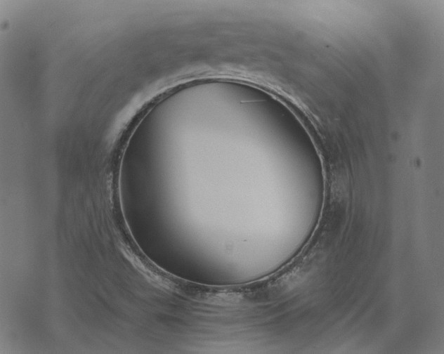 X0000076091503200610061628