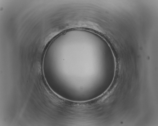 X0000076091505200610061628