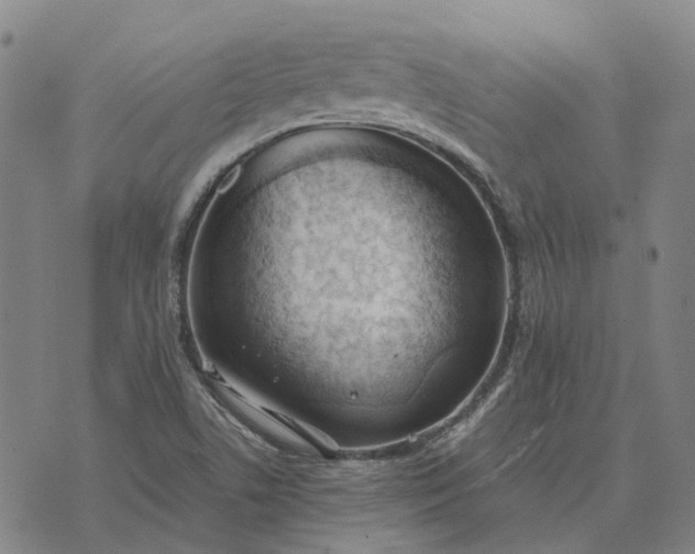 X0000076091506200610061628