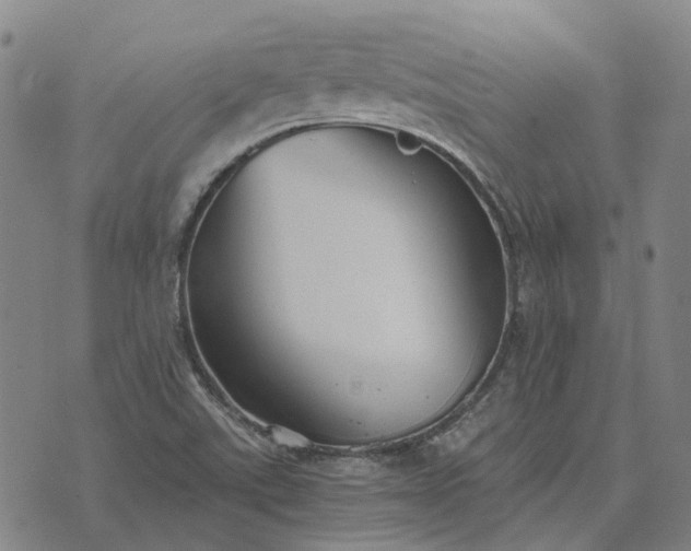 X0000076091507200610061628