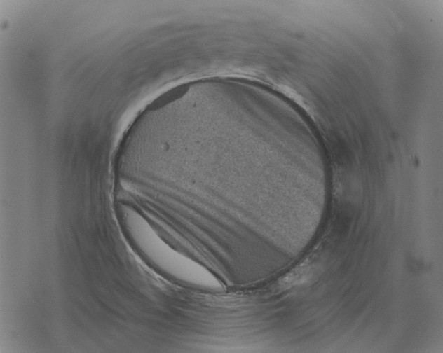 X0000076091508200610061628