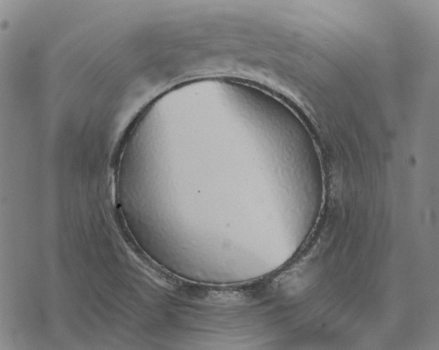 X0000076091509200610061628