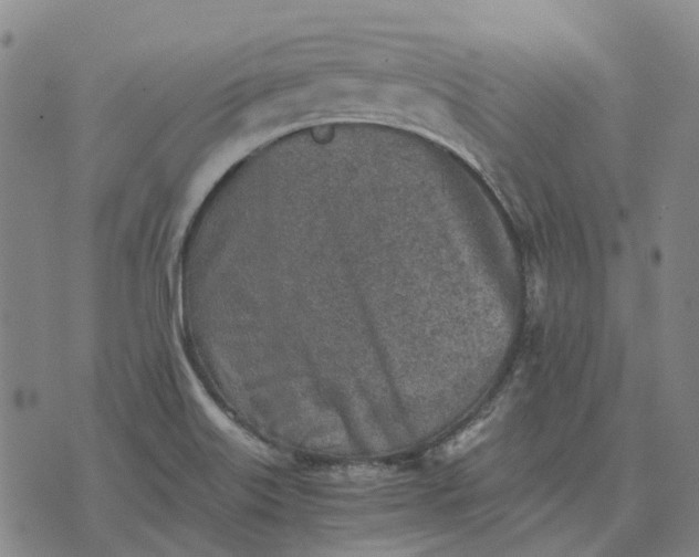 X0000076091515200610061628