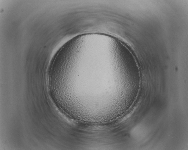 X0000076091517200610061628